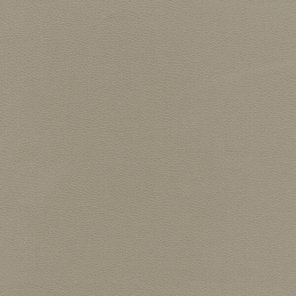 beige gray