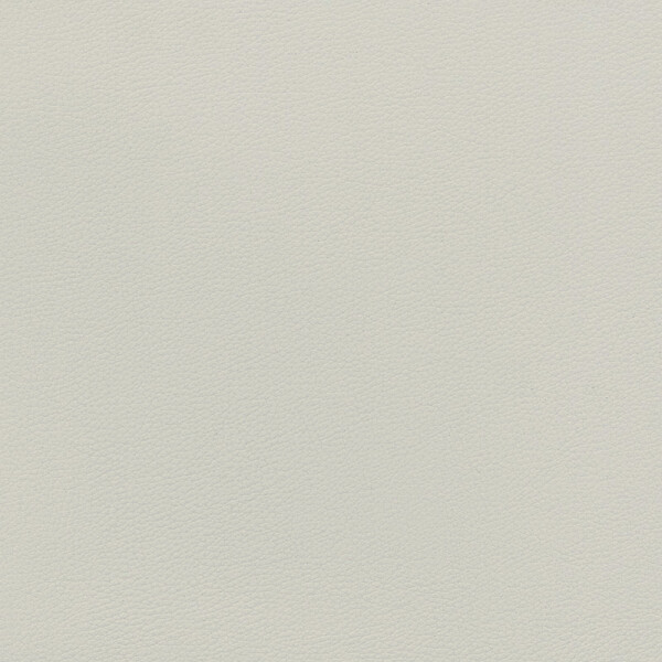 seasalt white