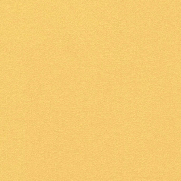maize yellow