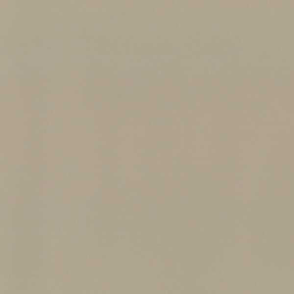 samtbeige | glatt