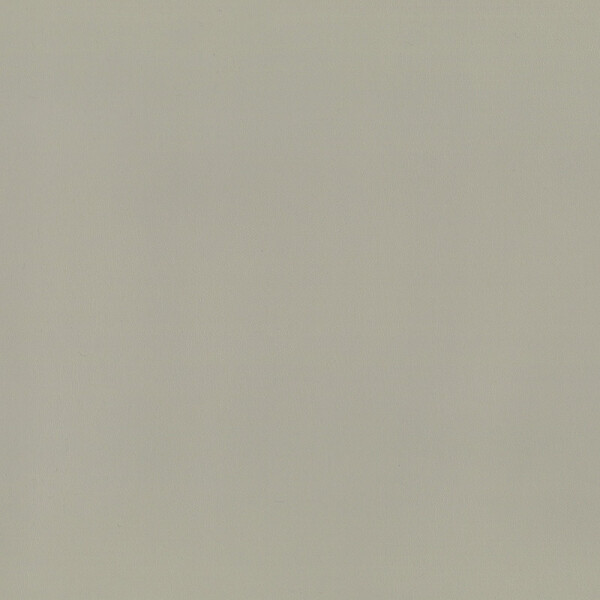 gray beige