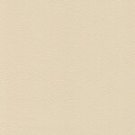 lightbeige