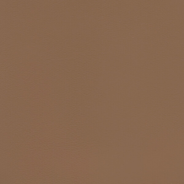 savannenbeige landscape