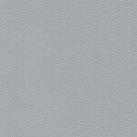 silvergrey