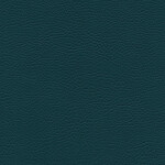 petrol