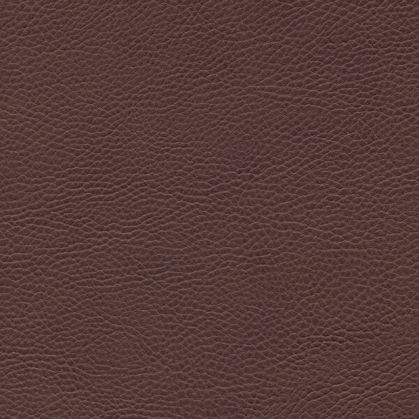 mocca