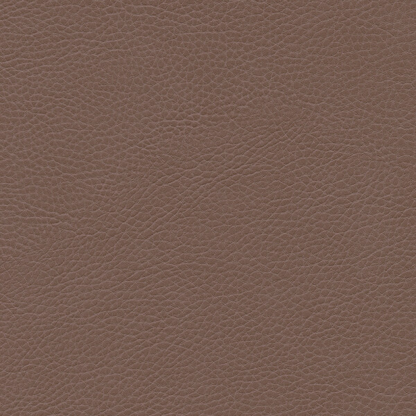 hazelnut