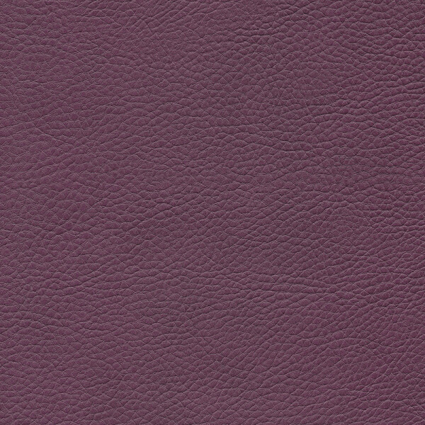 cyclam