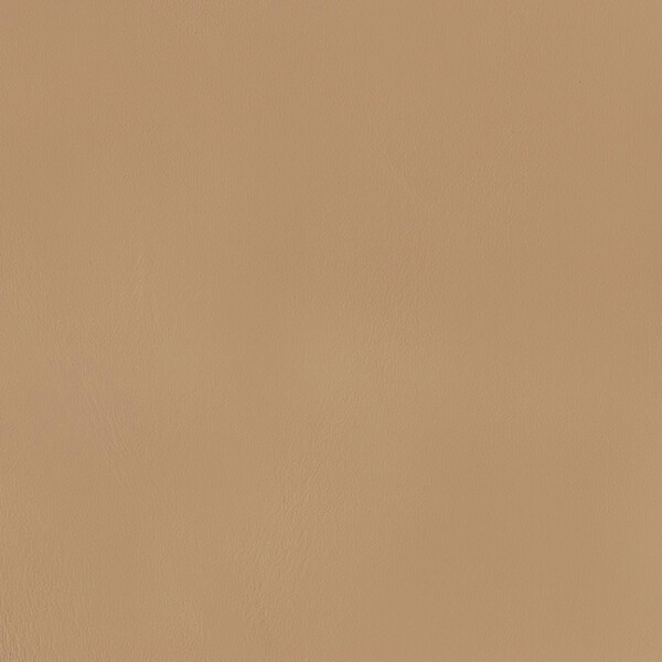 kaschmirbeige buckskin