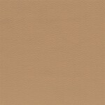 hellbeige