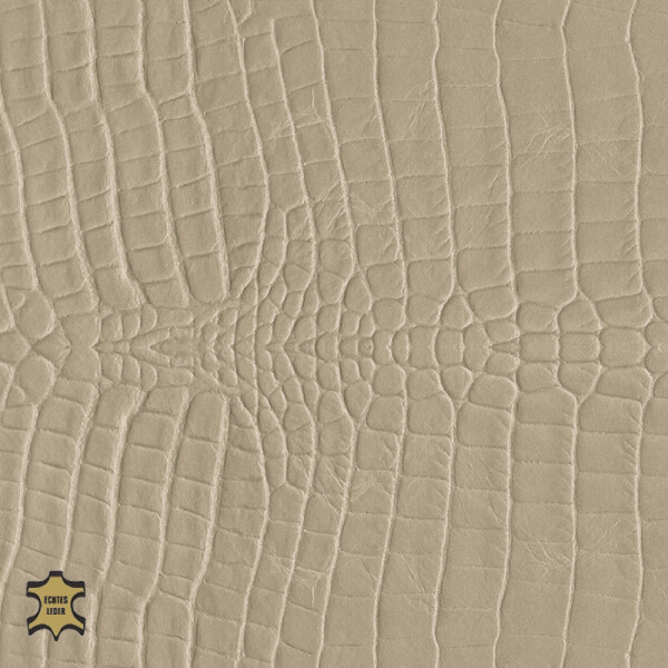gray beige