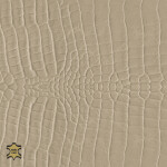 gray beige
