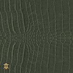 fir green