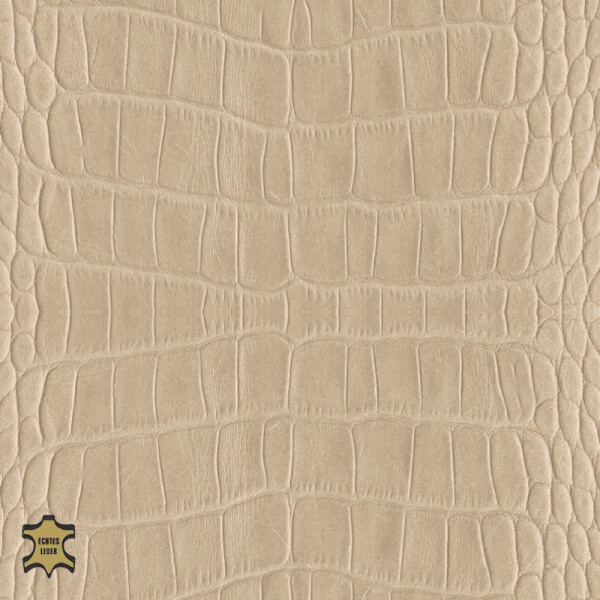 gray beige