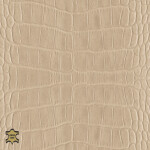 gray beige