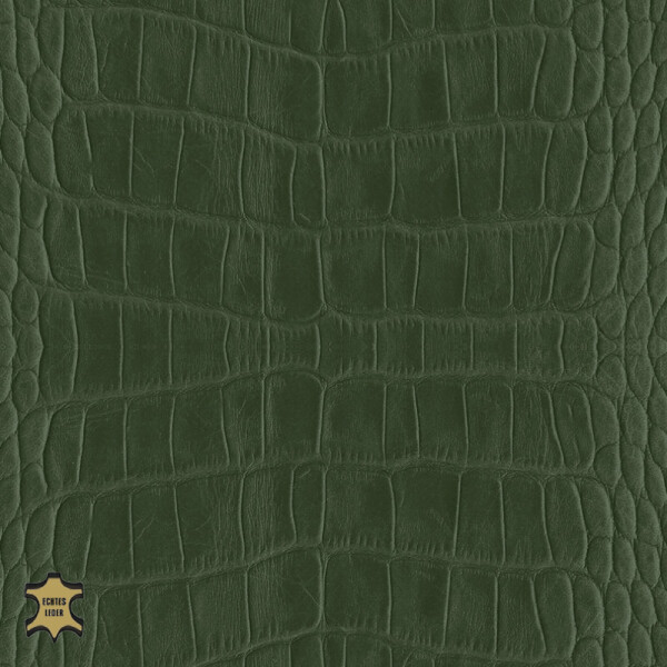 fir green