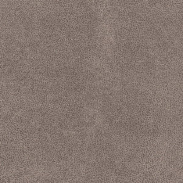 umber gray