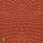 mandarine