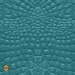 turquiose blue