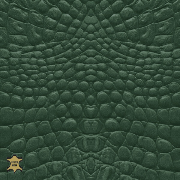 fir green