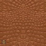 orange brown