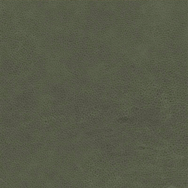 fir green