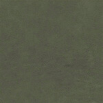 fir green