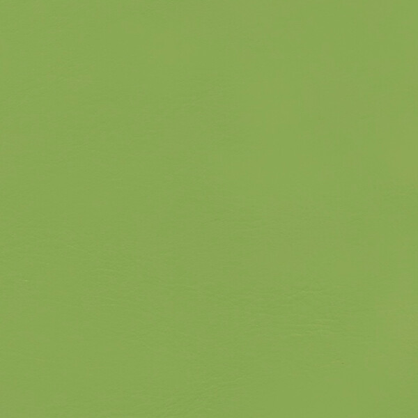 verde ulysses