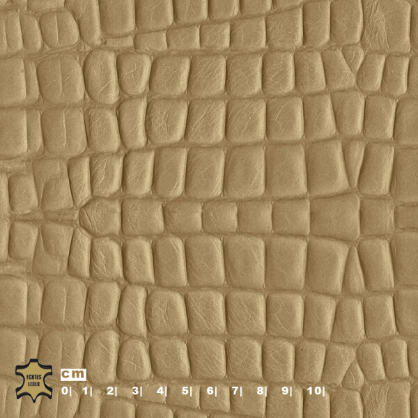 brown beige