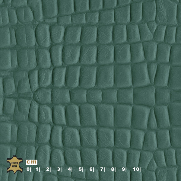 green tourquoise