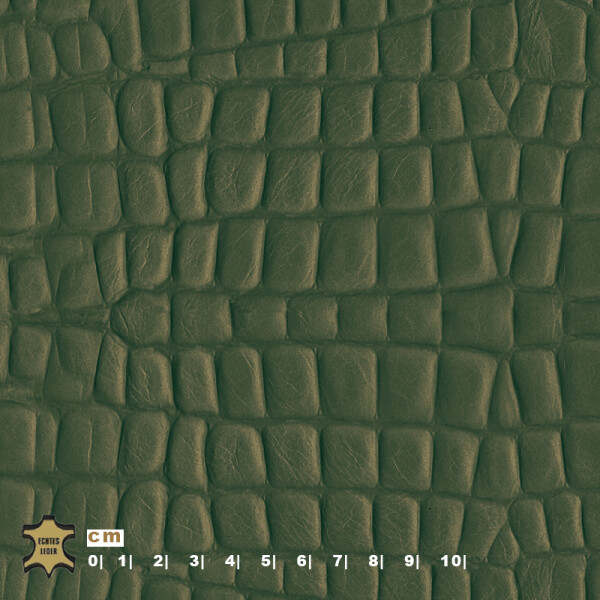 fir green