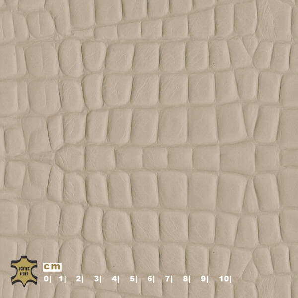 grey beige