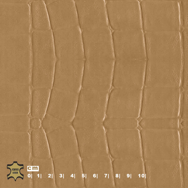 brown beige