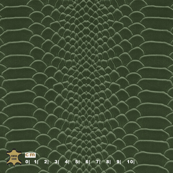 fir green