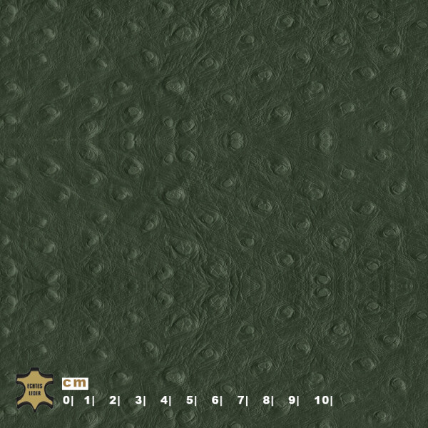 fir green