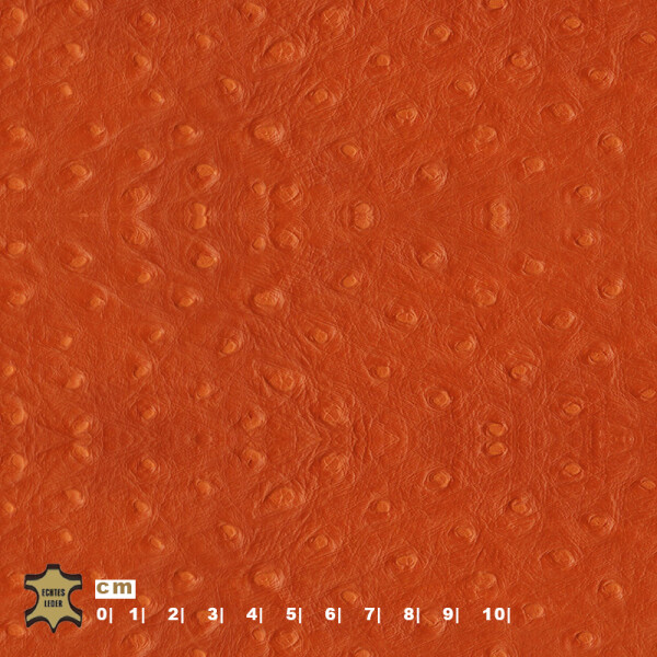 mandarine