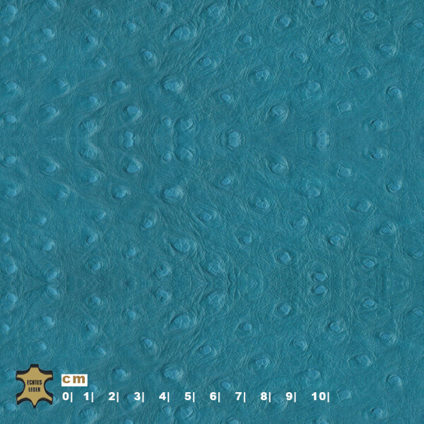 turquiose blue