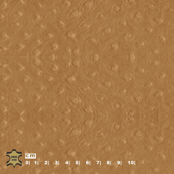 brown beige