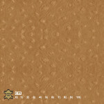 brown beige
