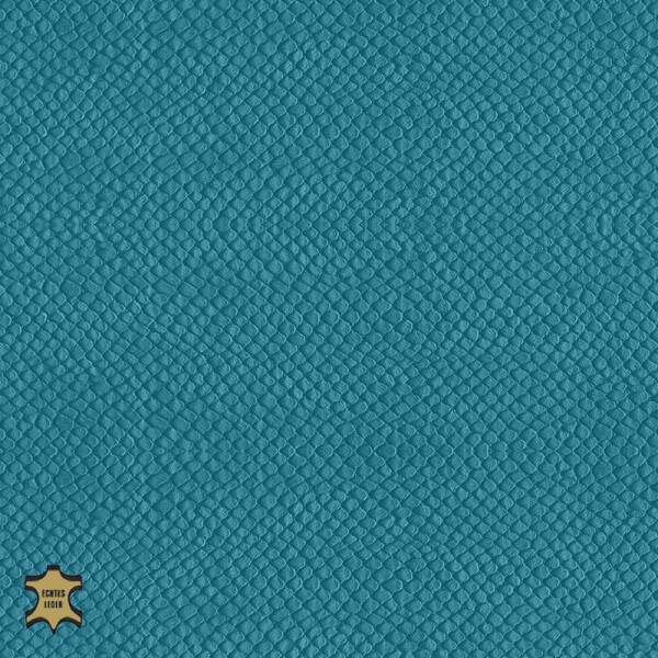 tourquiose blue