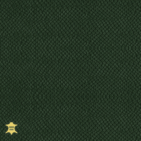 fir green