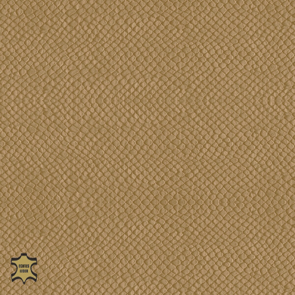 brown beige