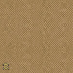 brown beige