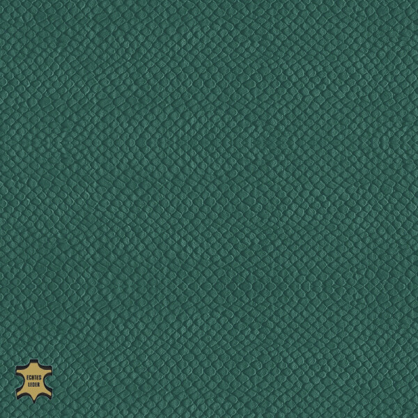 green tourquiose