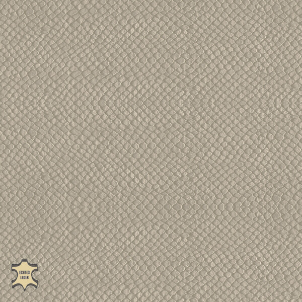 gray beige