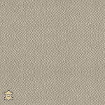 gray beige