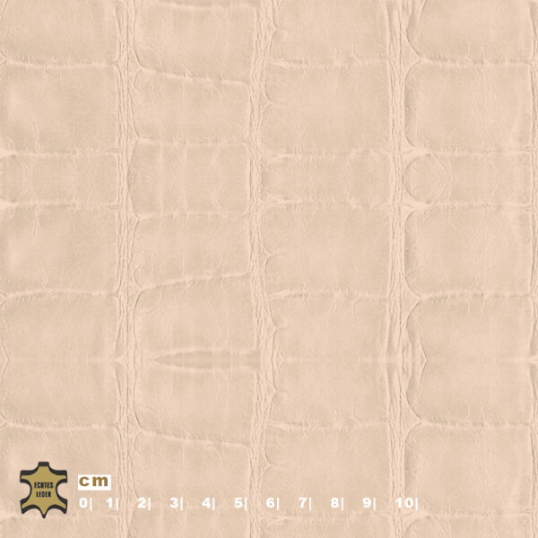 cream