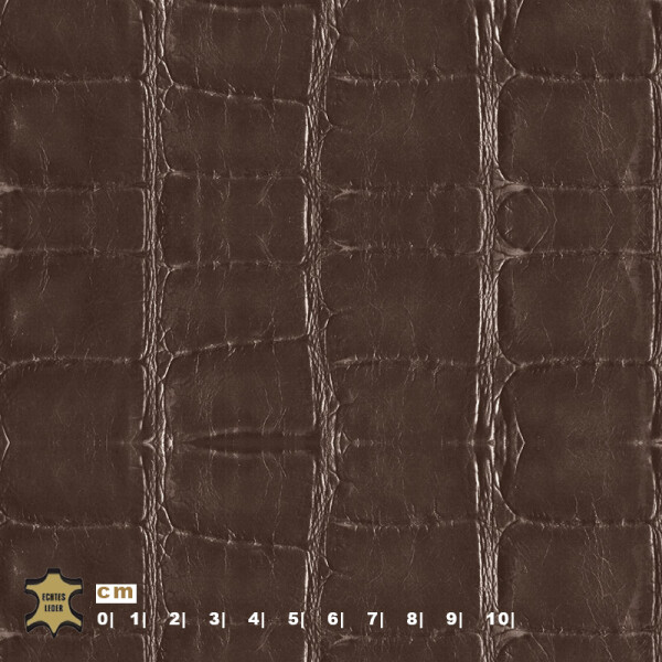 dark cacao