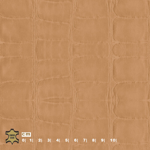 brown beige