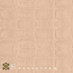 gray beige